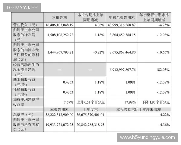 马来西亚云顶有限公司的财务状况与盈利能力年度报告分析